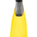 PINNE CLIO - GIALLO